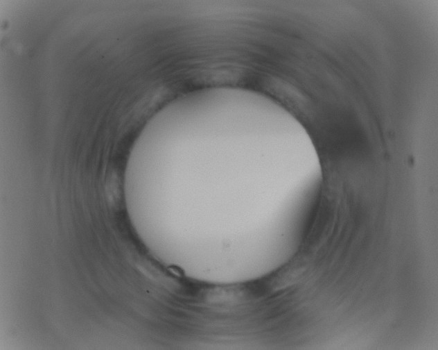 X0000074310077200609081952