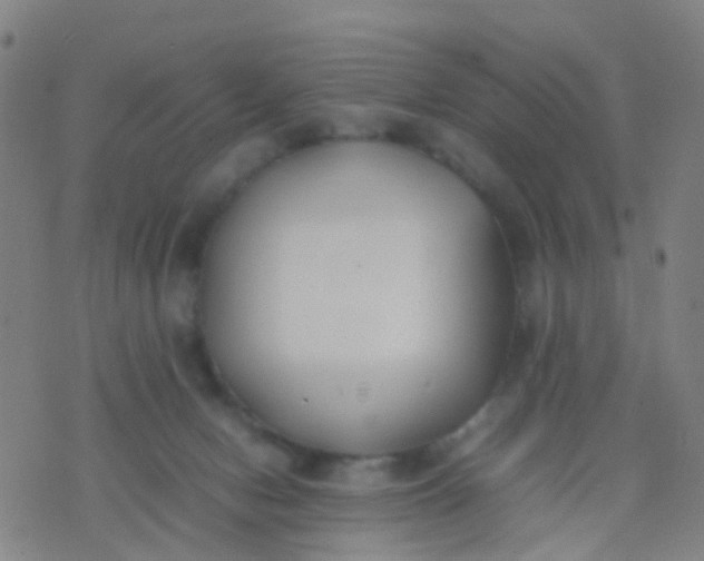 X0000074310078200609081953