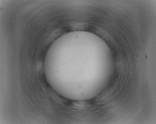 X0000074310079200609081953