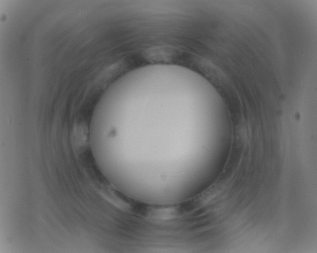 X0000074310081200609081953