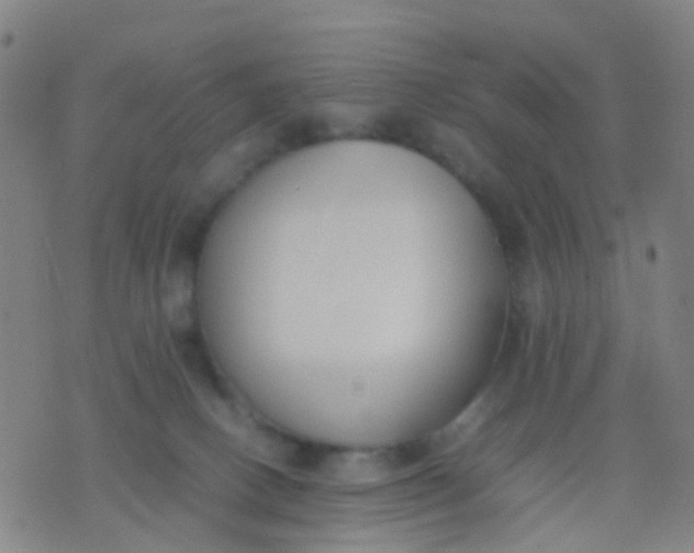 X0000074310082200609081953