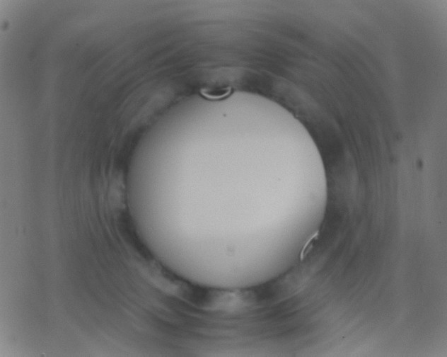 X0000074310083200609081953