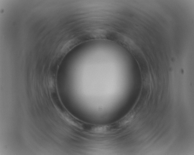 X0000074310084200609081953