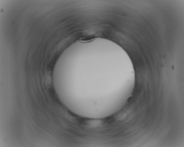 X0000074310085200609081953