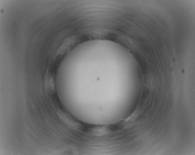 X0000074310086200609081953