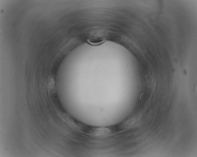 X0000074310087200609081953