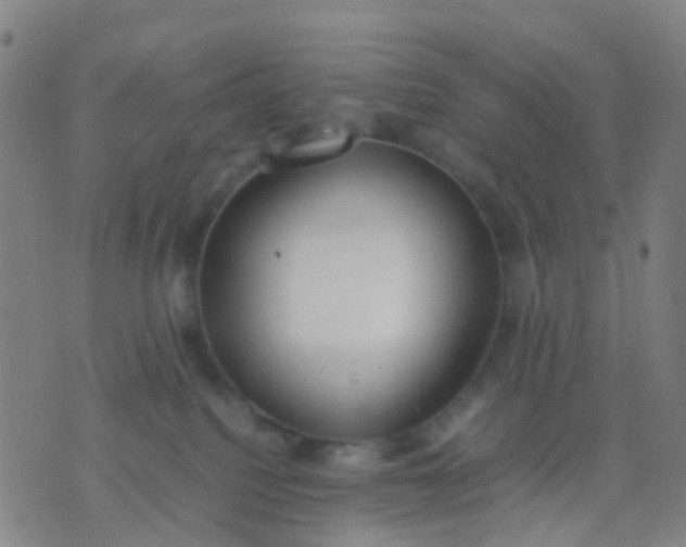 X0000074310088200609081953