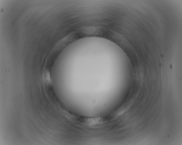 X0000074310089200609081953