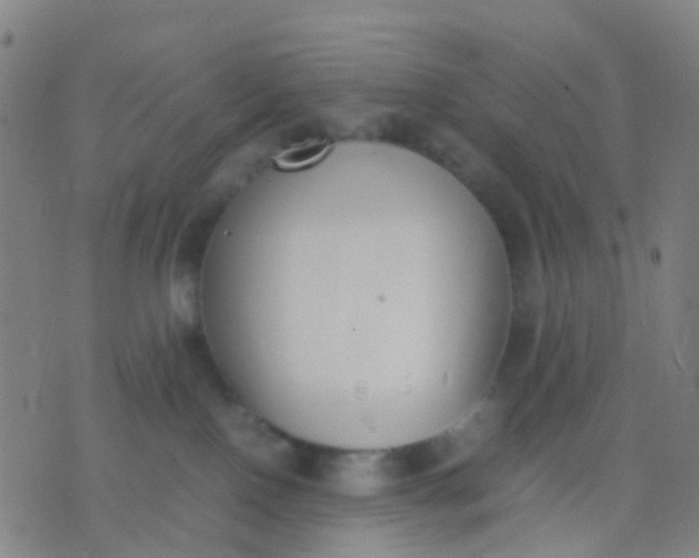 X0000074310090200609081953