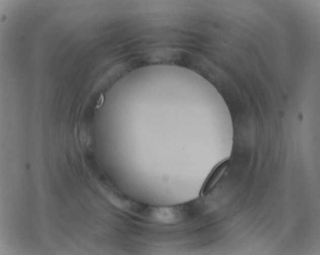 X0000074310091200609081953