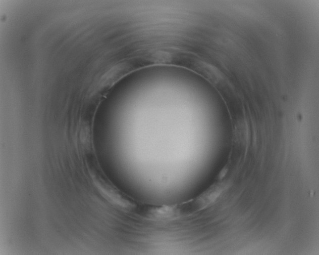 X0000074310092200609081953