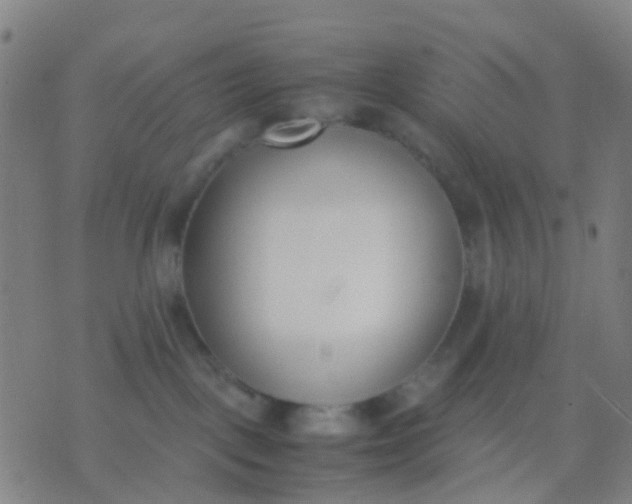 X0000074310093200609081953