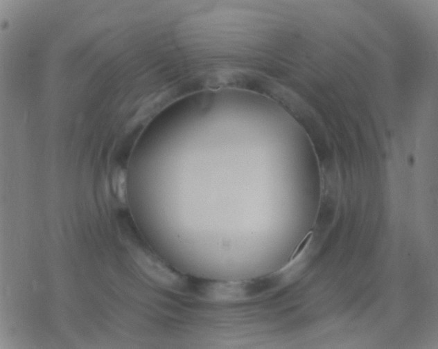 X0000074310094200609081953