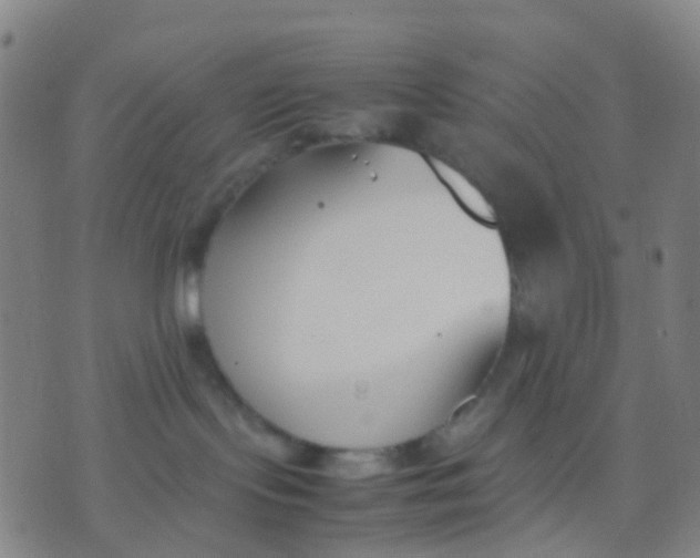 X0000074310095200609081953