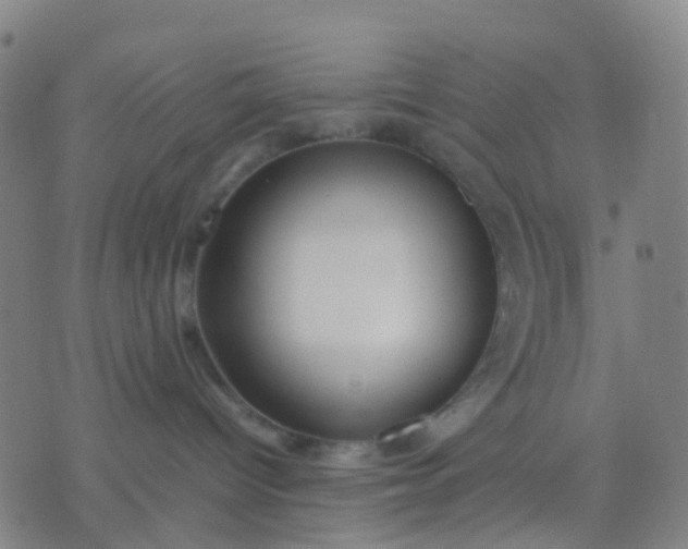 X0000074310096200609081953