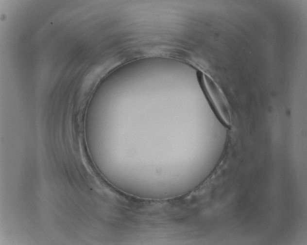 X0000074310097200609081952