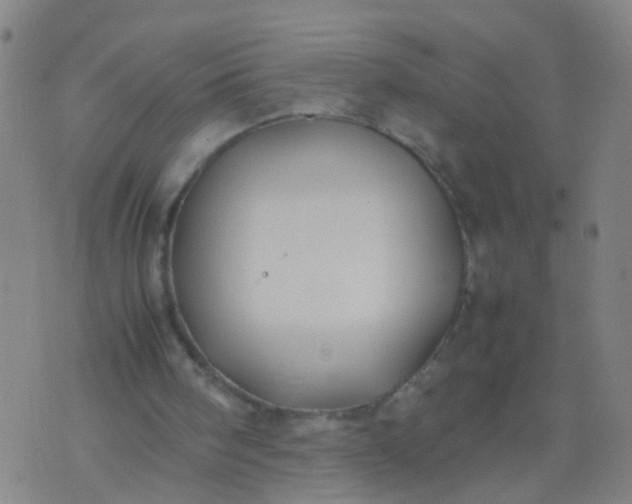 X0000074310098200609081952