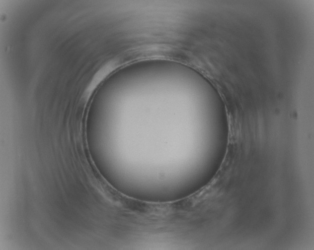 X0000074310099200609081952