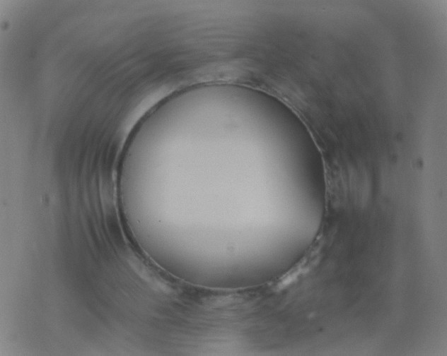 X0000074310100200609081952