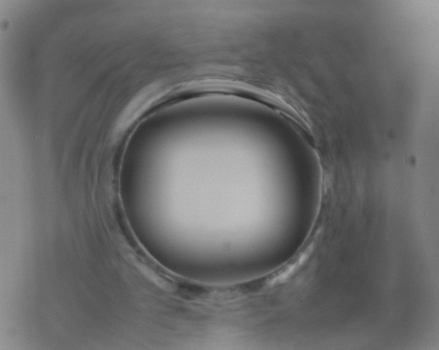 X0000074310101200609081952