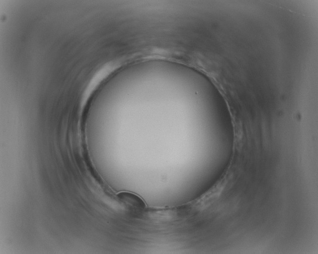 X0000074310102200609081952