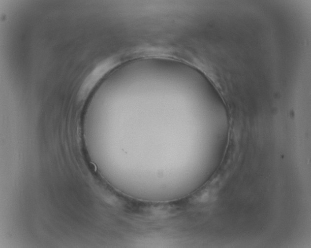 X0000074310103200609081952