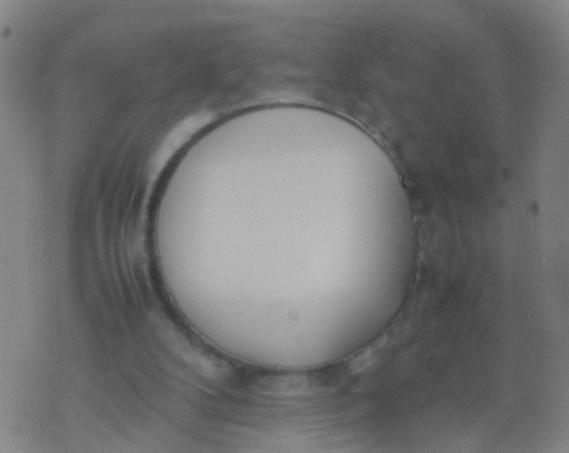 X0000074310104200609081952