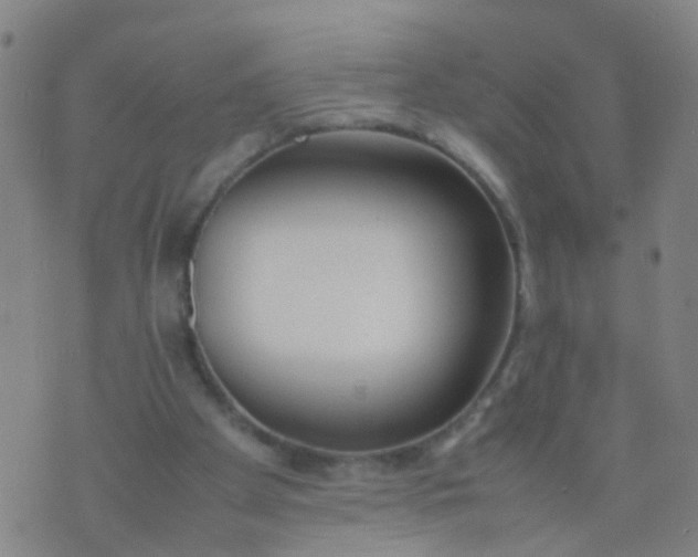 X0000074310105200609081952