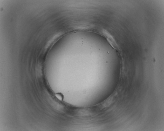 X0000074310106200609081952