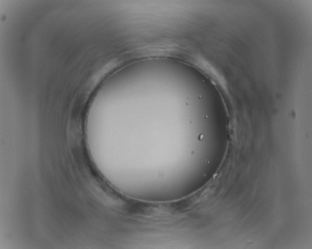 X0000074310107200609081952