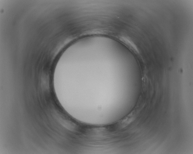 X0000074310108200609081952