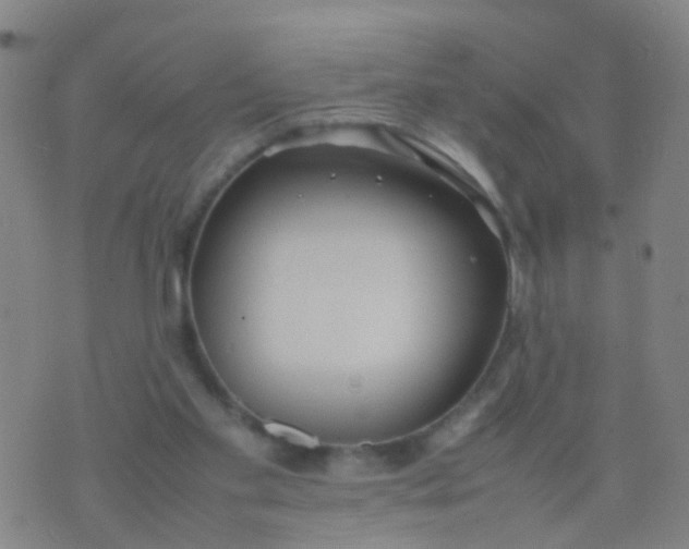 X0000074310109200609081952