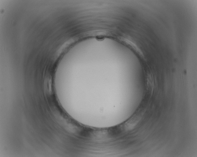 X0000074310110200609081952