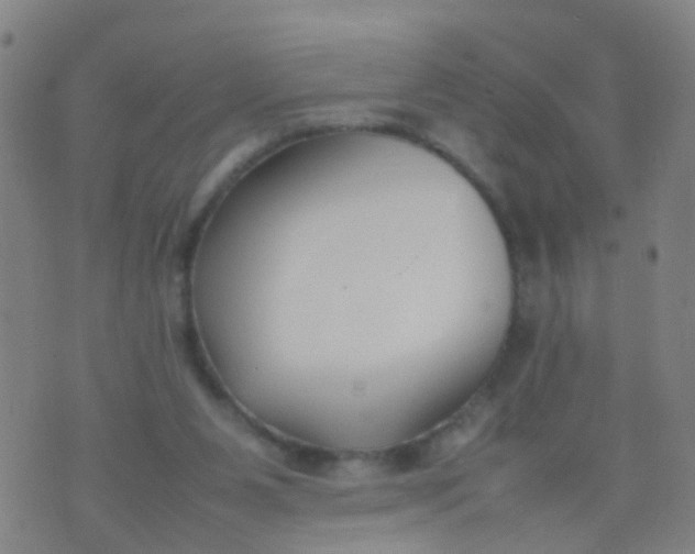 X0000074310111200609081952