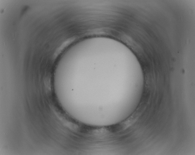 X0000074310112200609081952