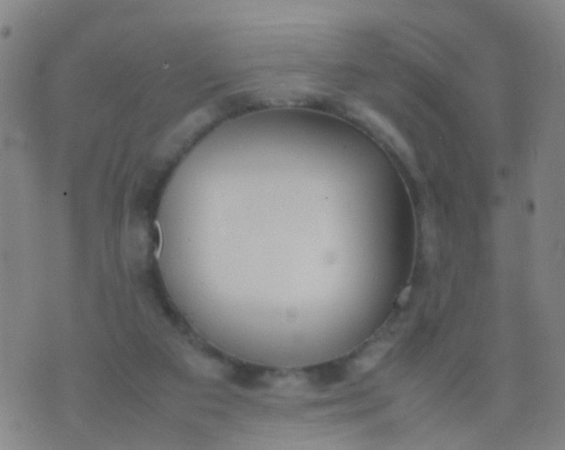 X0000074310113200609081952