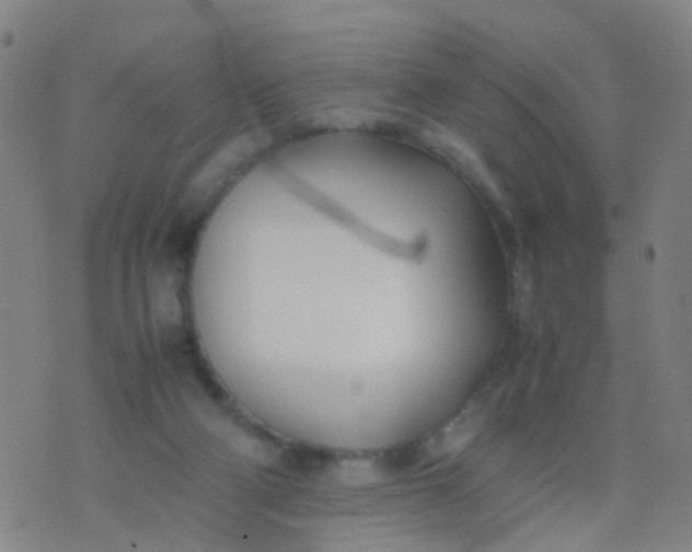 X0000074310114200609081952