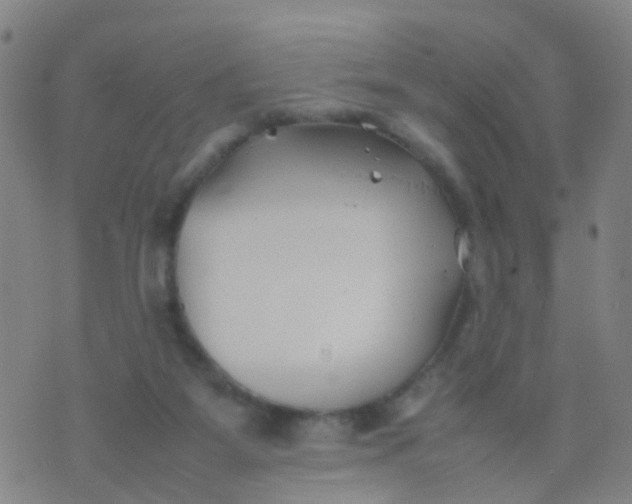 X0000074310115200609081952