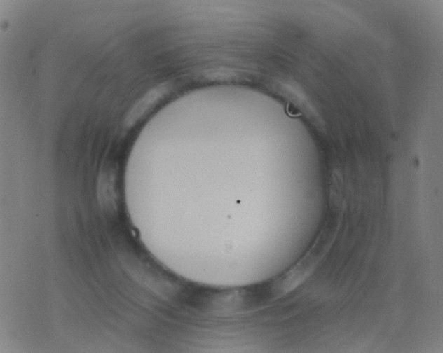 X0000074310116200609081952