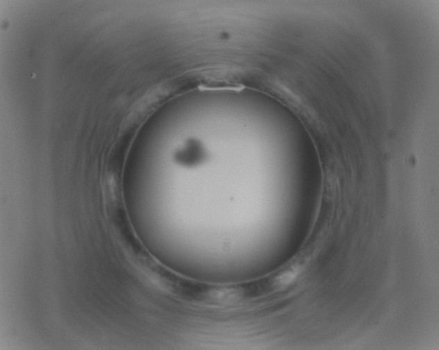 X0000074310117200609081952