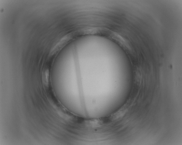 X0000074310118200609081952