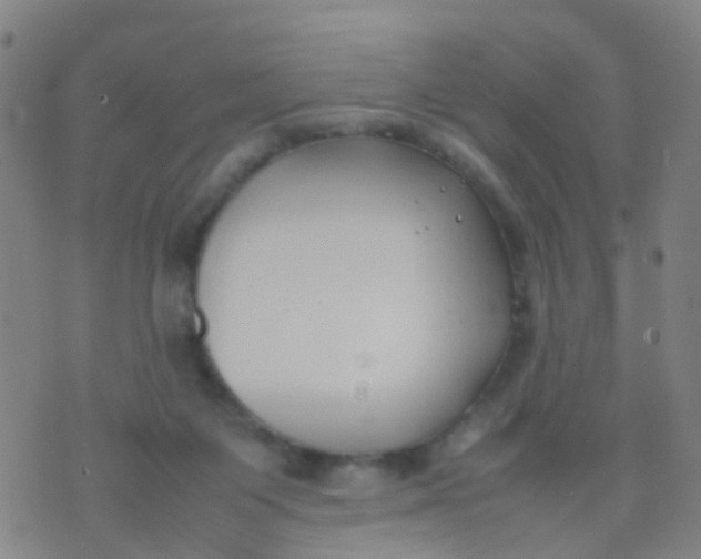 X0000074310119200609081952