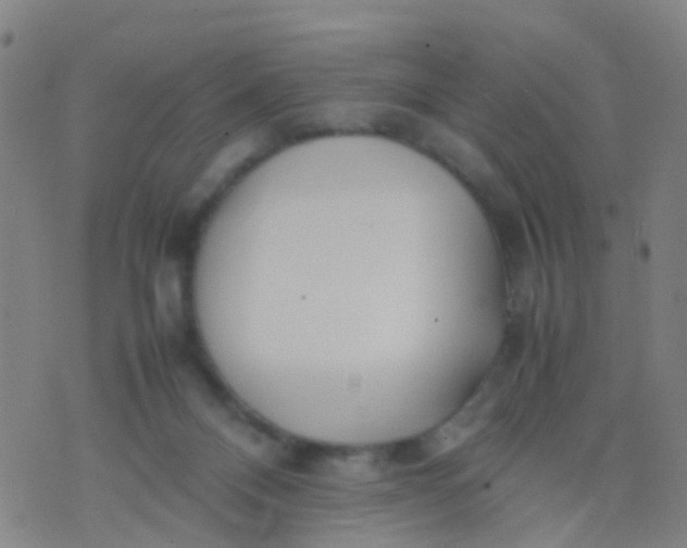 X0000074310120200609081952