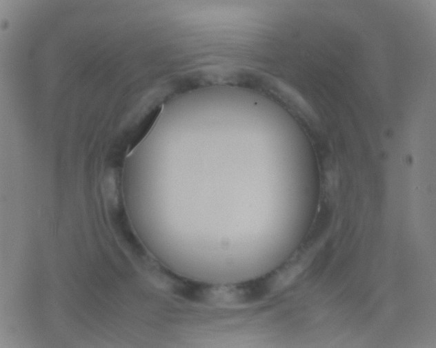 X0000074310121200609081952