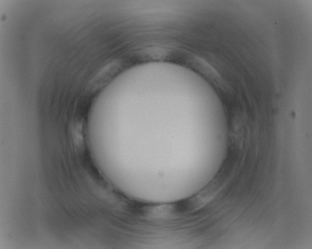 X0000074310122200609081952