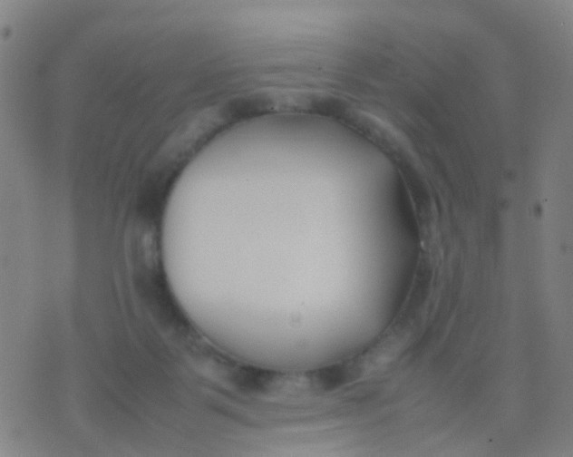 X0000074310123200609081952