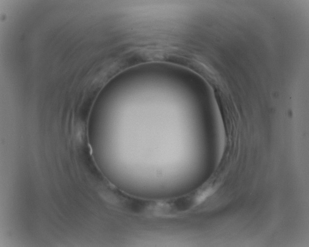 X0000074310125200609081952