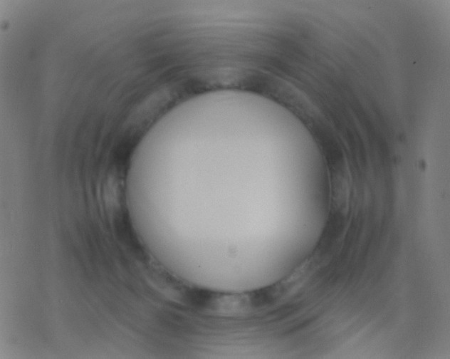 X0000074310126200609081952