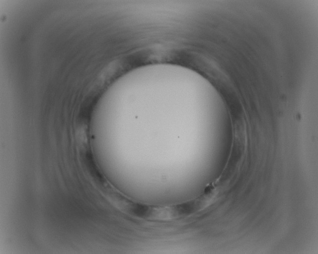 X0000074310127200609081952