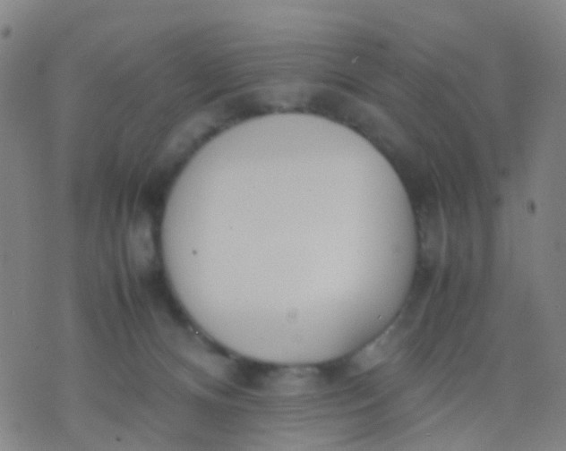 X0000074310128200609081952